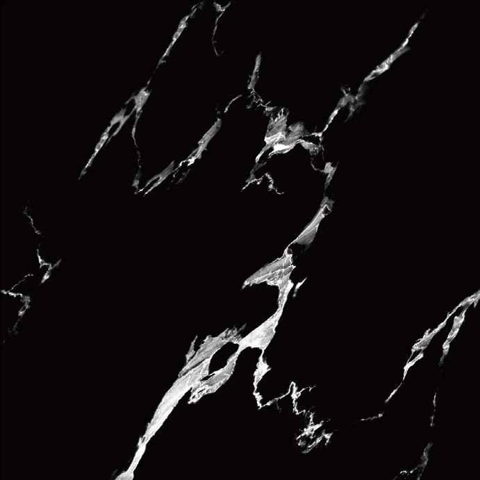 goodwill Ceramic Floor Finishing Tile Silver Mist Marble, Nero Black Marble Glazed, 600 x 600 mm