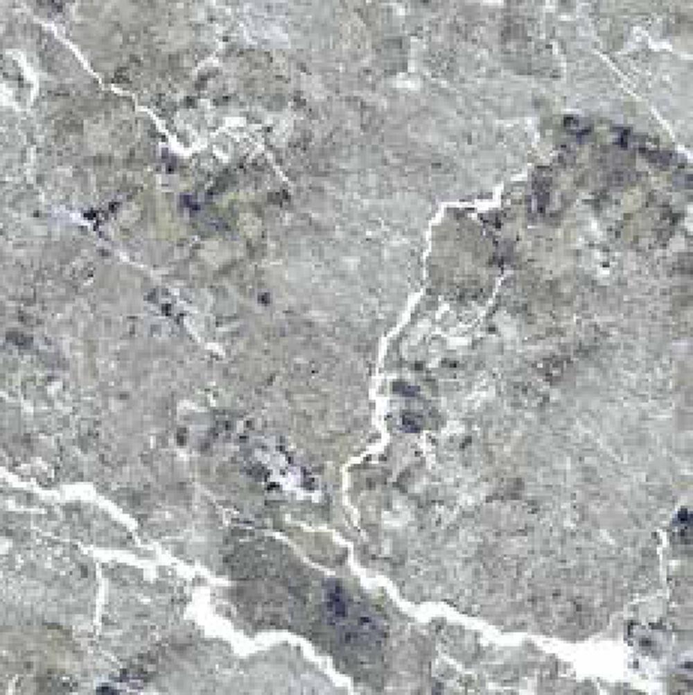 Goodwill Ceramic Floor Tile Natural Stone Grey / Blue Polished, 600 x 600 mm