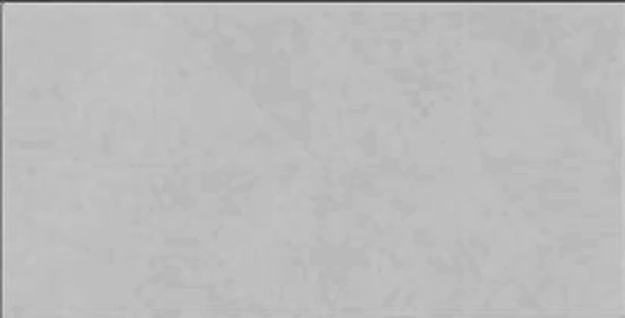 Virony Ceramic Floor and Wall Finishing Tile Light Grey Super rustic, 300 x 600 mm