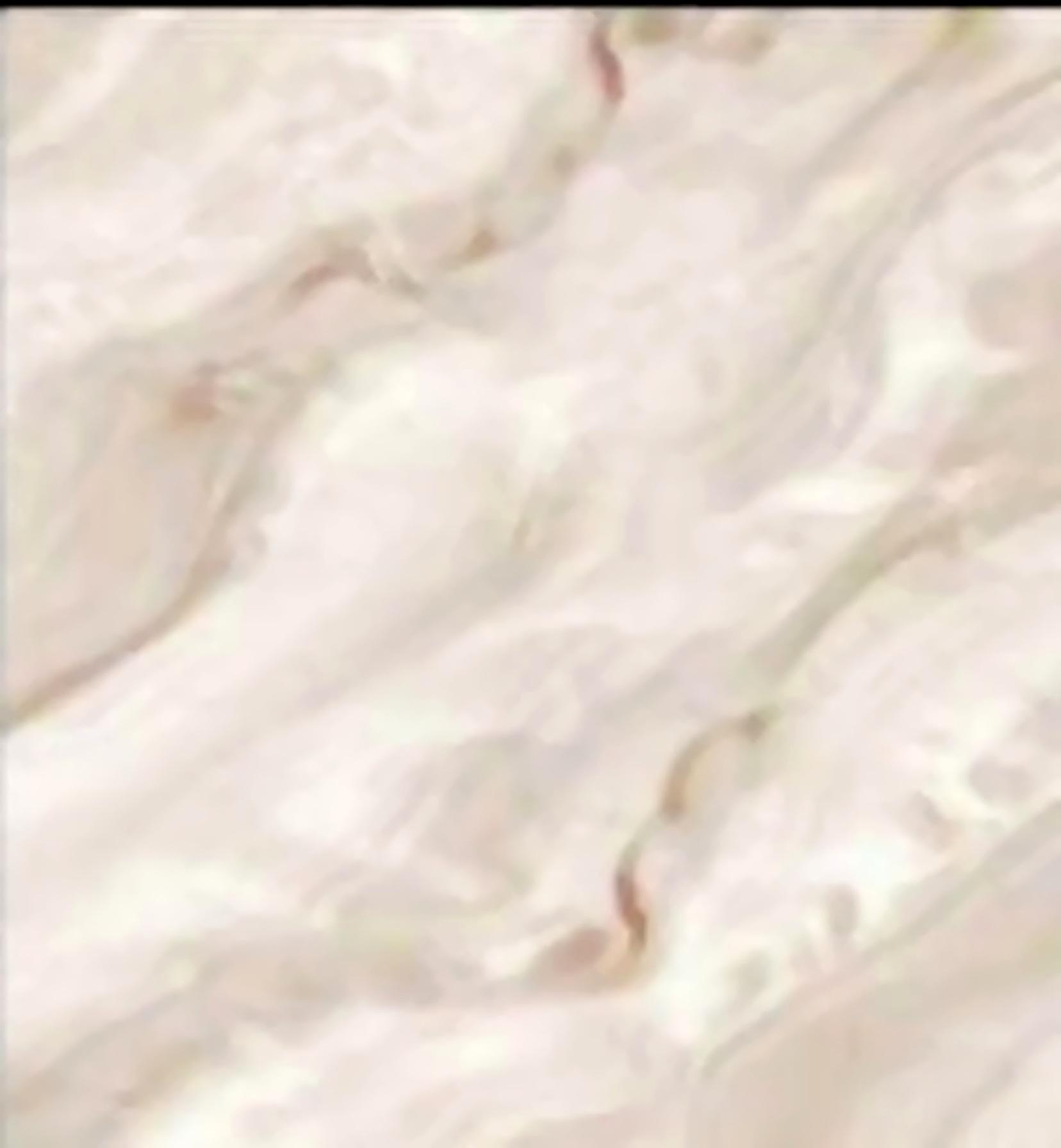 Virony Ceramic Floor and Wall Finishing Tile Cream, Beige, Light Grey, Pearl White Glazed, 600 x 600 mm