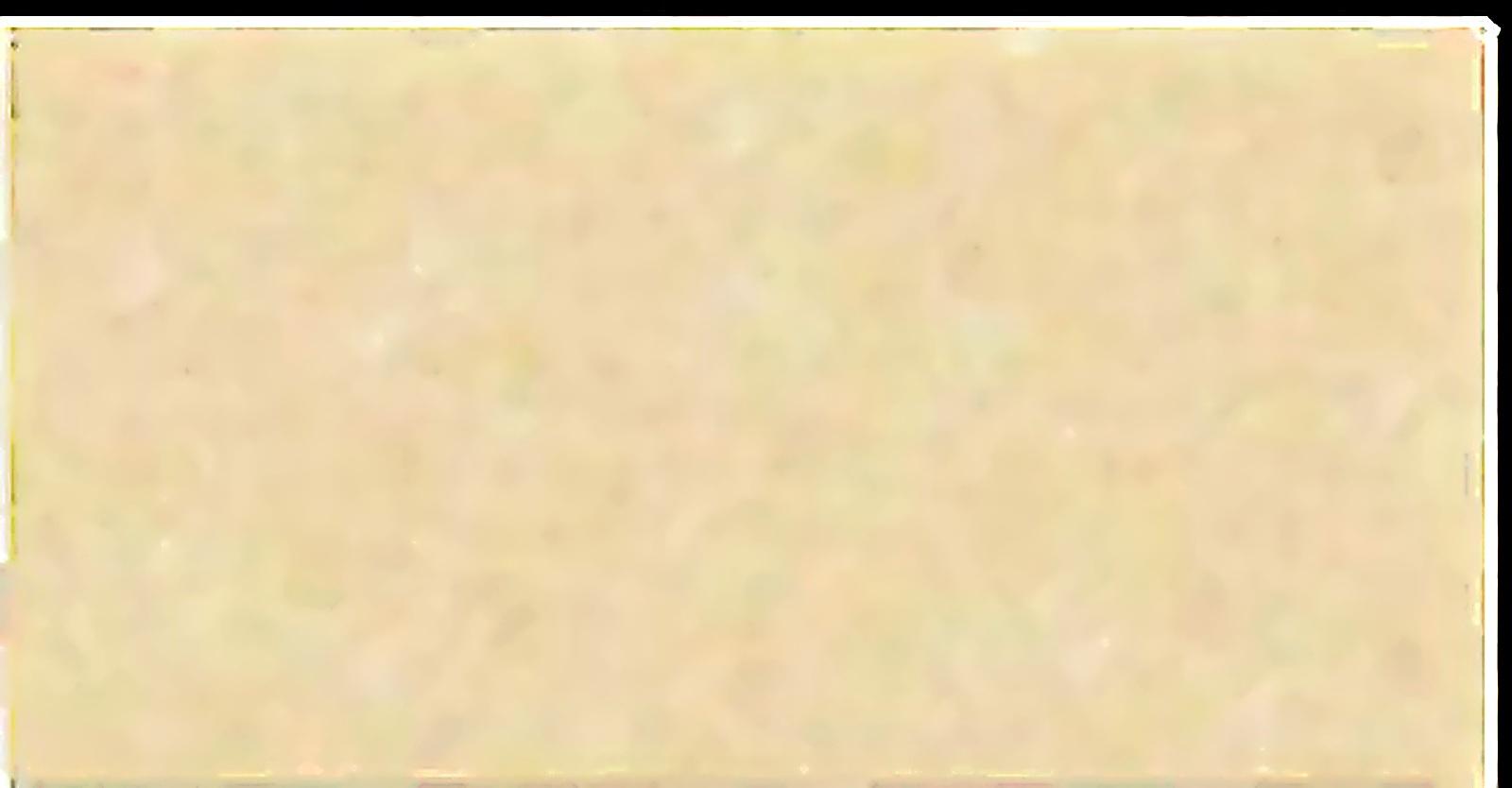 Virony Ceramic Wall Finishing Tile Cream, Ivory Glazed, 300 x 600 mm