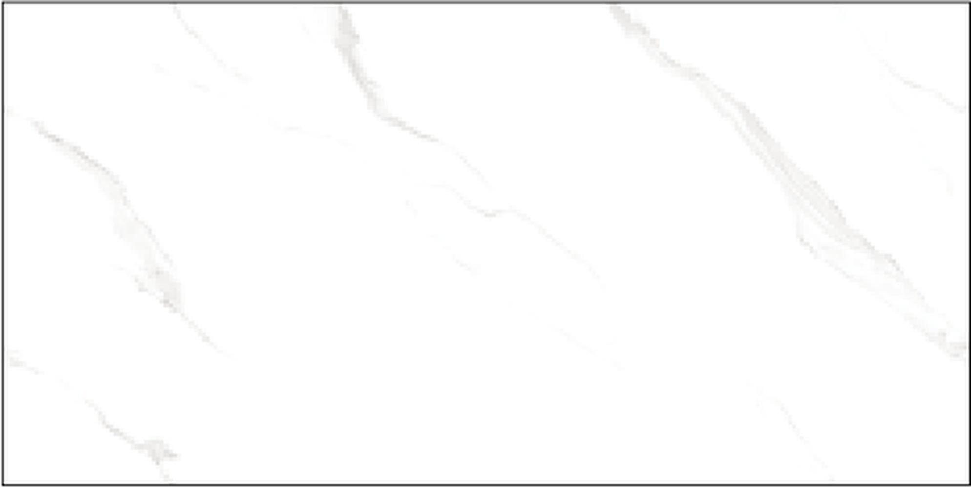 Goodwill Ceramic Wall Tile Statuario White / Grey Glossy, 300 x 600 mm