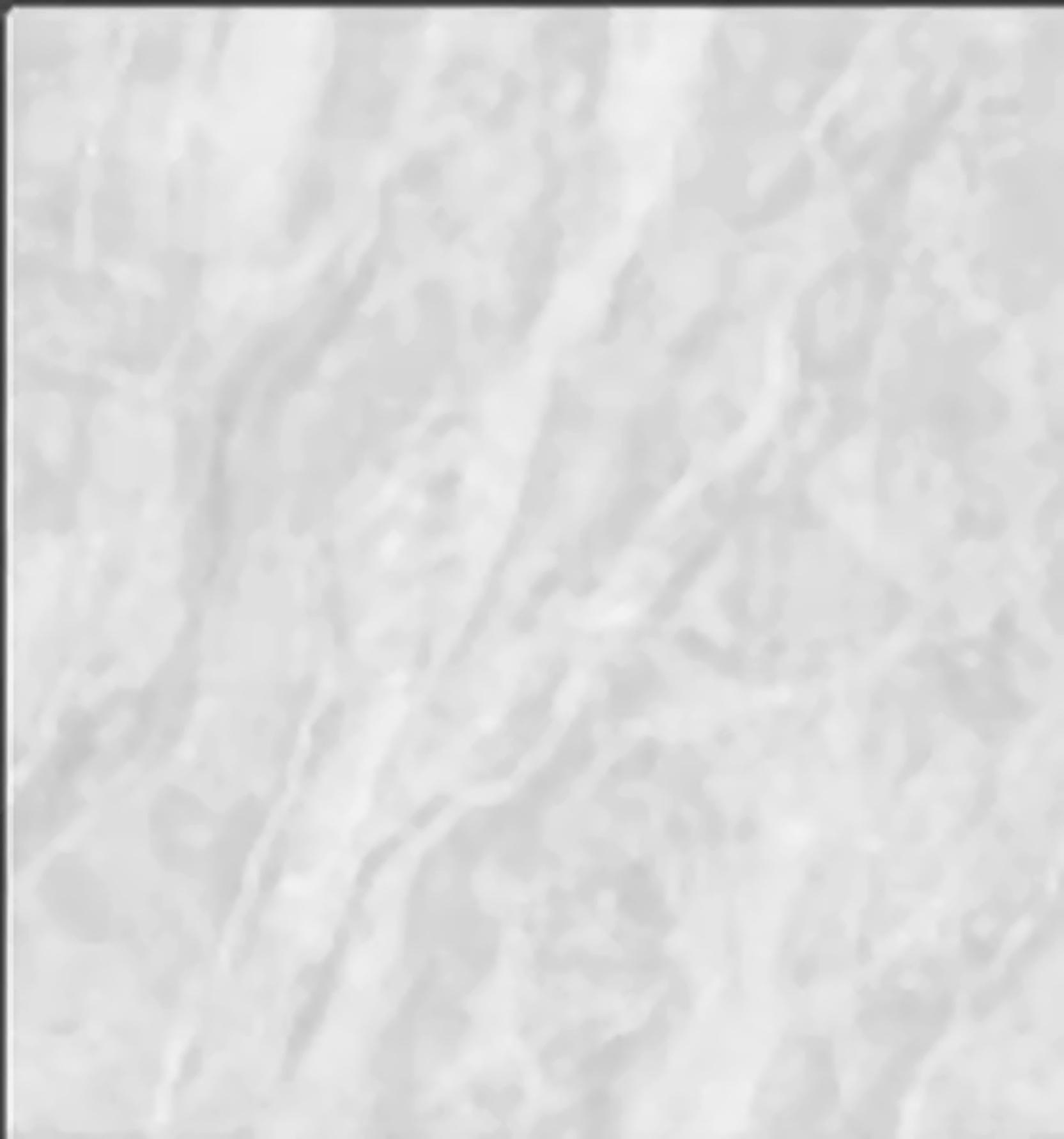 Virony Ceramic Floor Finishing Tile Pearl White, Light Grey Glazed, 600 x 600 mm