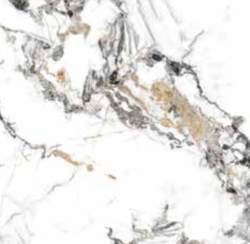 goodwill Ceramic Floor Finishing Tile Emperador Light, Pearl Grey Marble, Silver Mist Marble, Statuario White, Graphite Marble Glazed, 600 x 600 mm